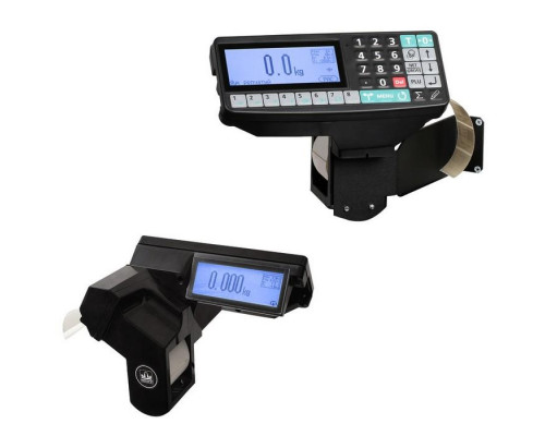 Весы с печатью этикеток Масса-К TB-5040N-32.2-R2P3n