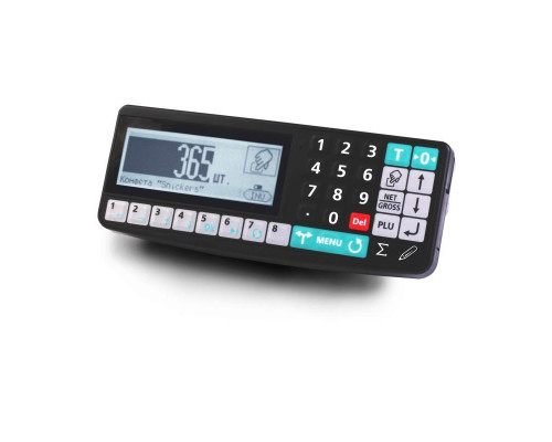 Весы платформенные с пандусом Масса-К 4D-LA.S-15/12-2000-RA