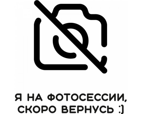 Шайба стопорная ф 3.2 DIN №6799 (упорная быстросъемная, на ось) для Штрих-М-02Ф
